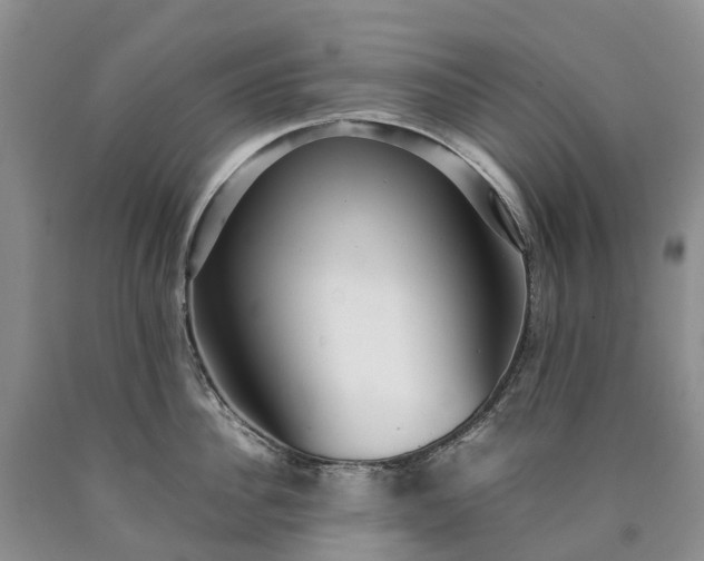 X0000090470956200707201352