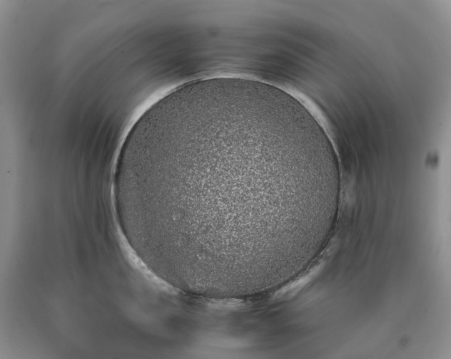 X0000090470957200707201352