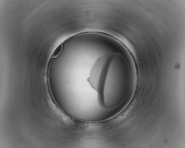 X0000090470958200707201352