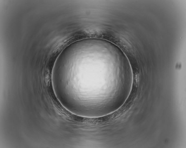 X0000090470963200707201351