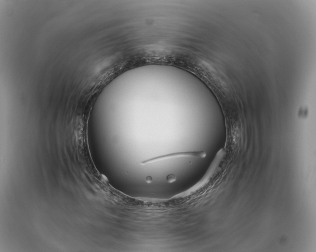 X0000090470964200707201351