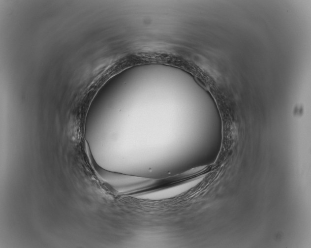 X0000090470965200707201351