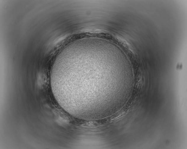 X0000090470966200707201351