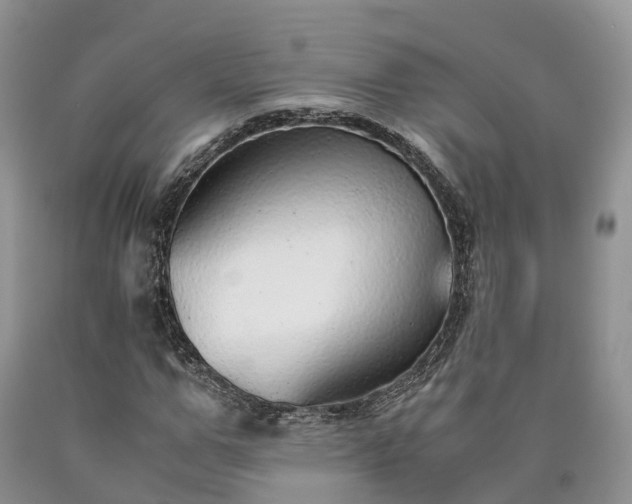 X0000090470967200707201351