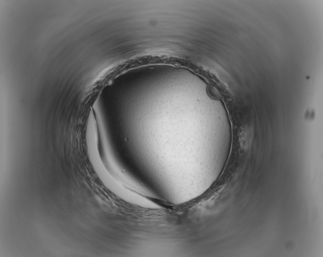 X0000090470968200707201351
