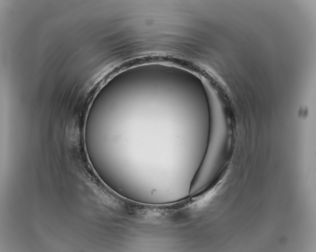 X0000090470969200707201351