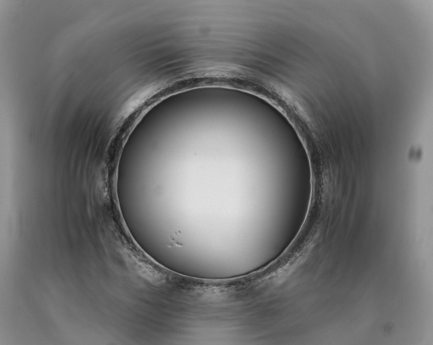 X0000090470970200707201351