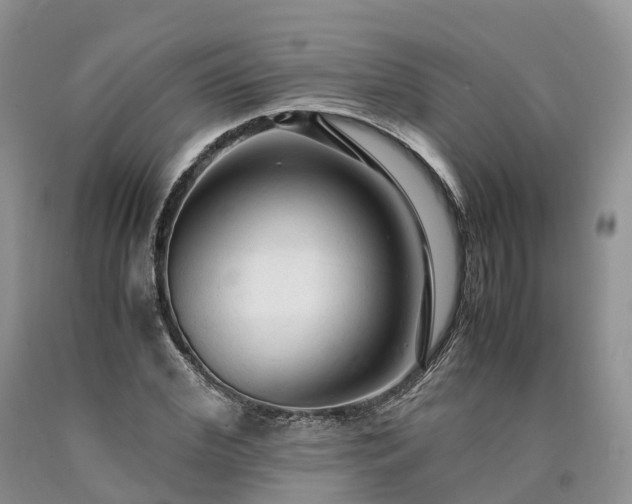 X0000090470972200707201351