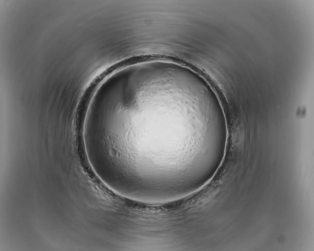 X0000090470975200707201351