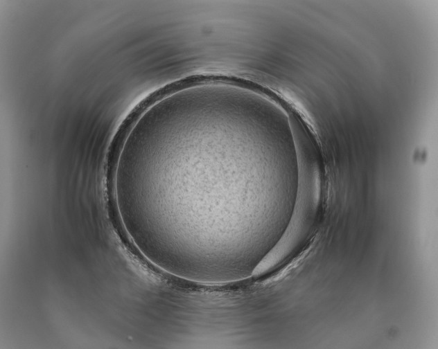 X0000090470976200707201351