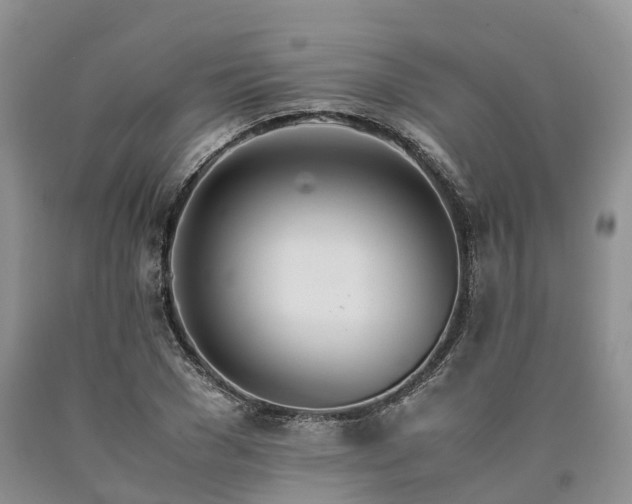 X0000090470977200707201351