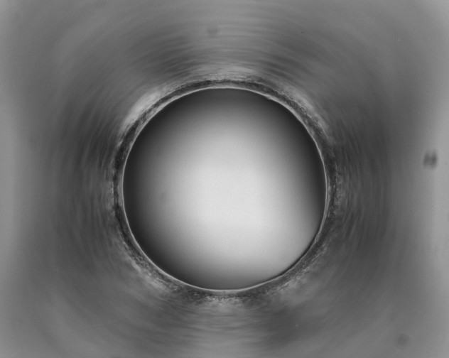 X0000090470978200707201351