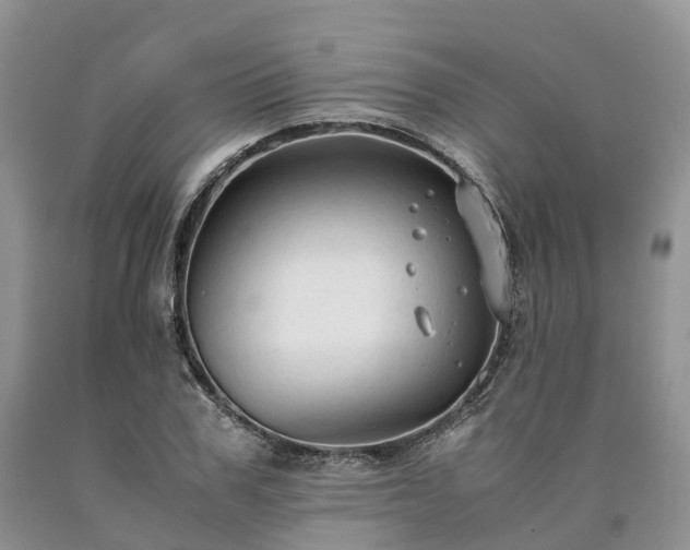 X0000090470979200707201351