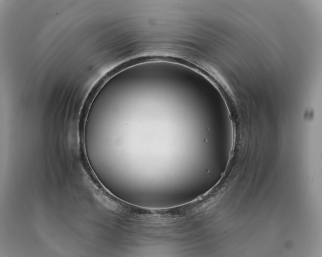X0000090470980200707201351