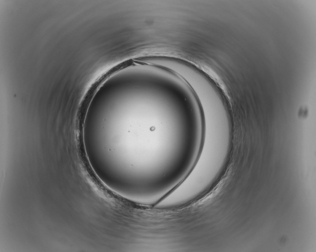 X0000090470981200707201351