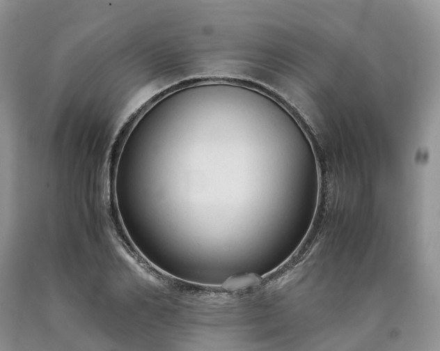 X0000090470982200707201351
