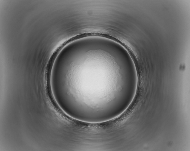 X0000090470983200707201351