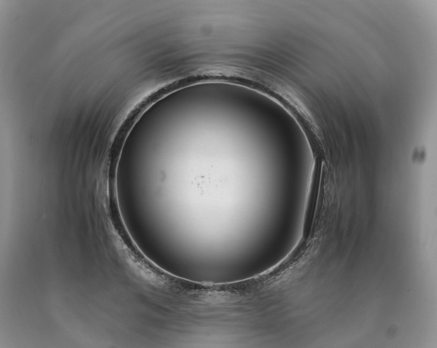 X0000090470984200707201351