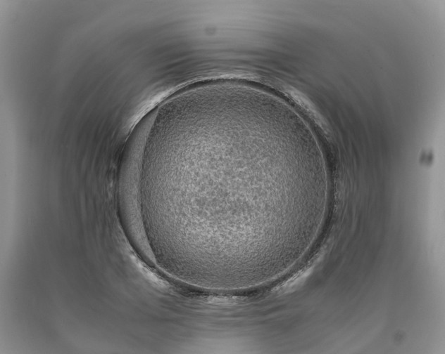 X0000090470985200707201351