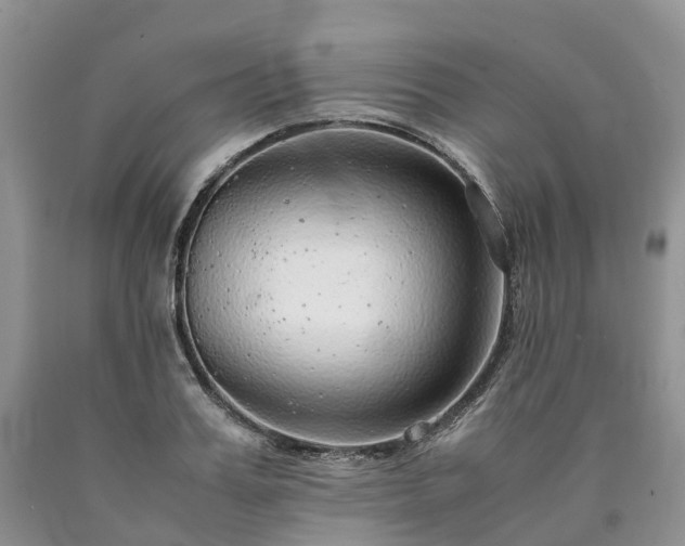 X0000090470987200707201351