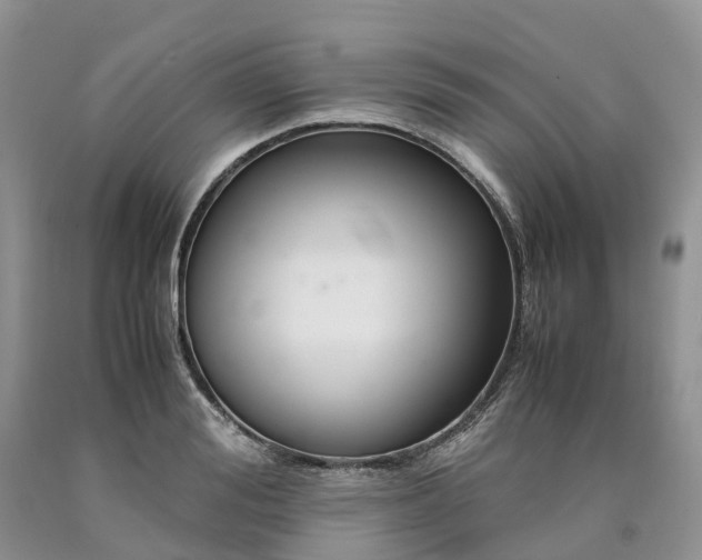 X0000090470988200707201351