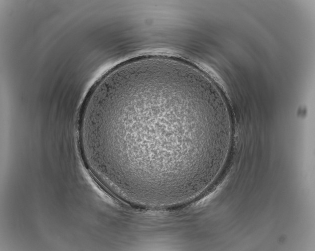 X0000090470989200707201351