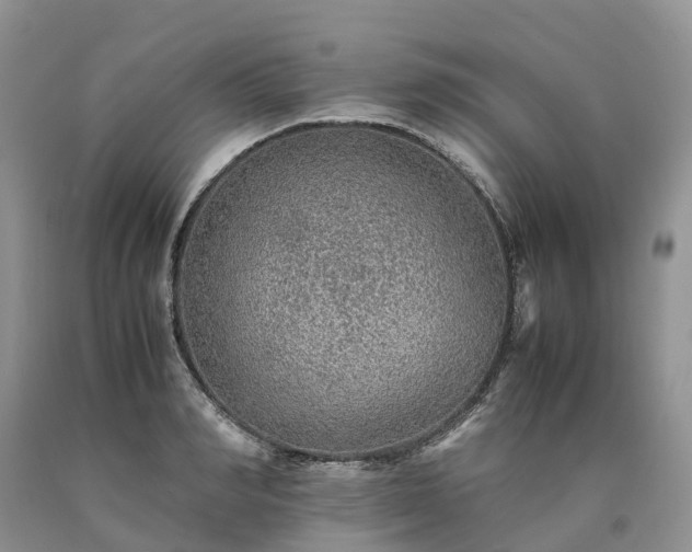 X0000090470990200707201351