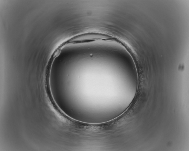 X0000090470991200707201351