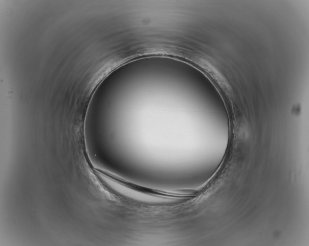 X0000090470993200707201351