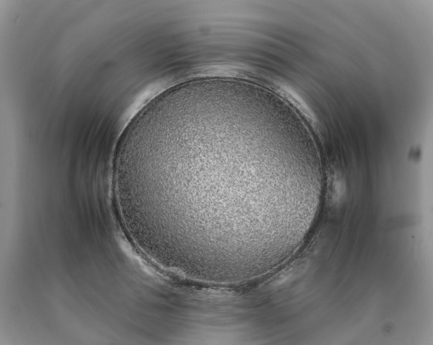 X0000090470994200707201351
