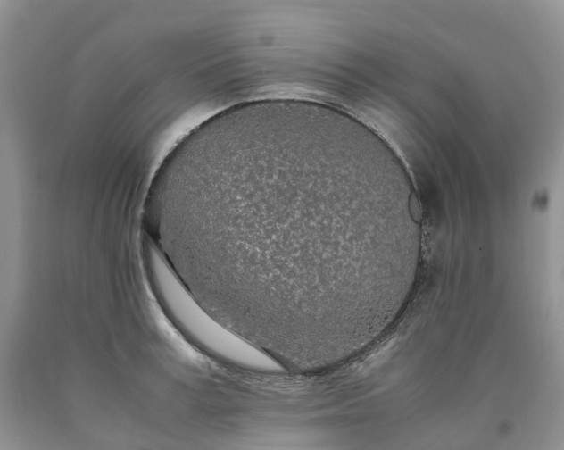 X0000090470995200707201351