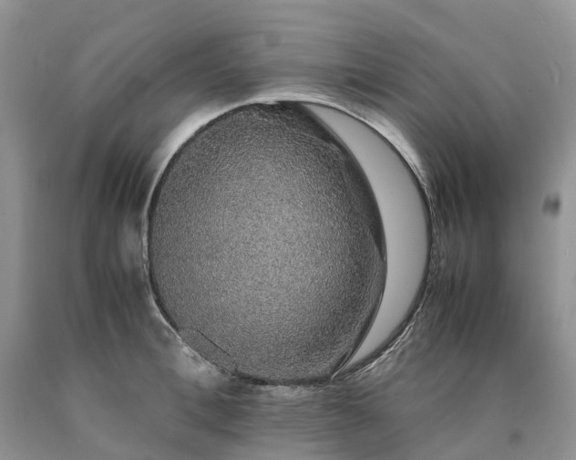 X0000090470996200707201351