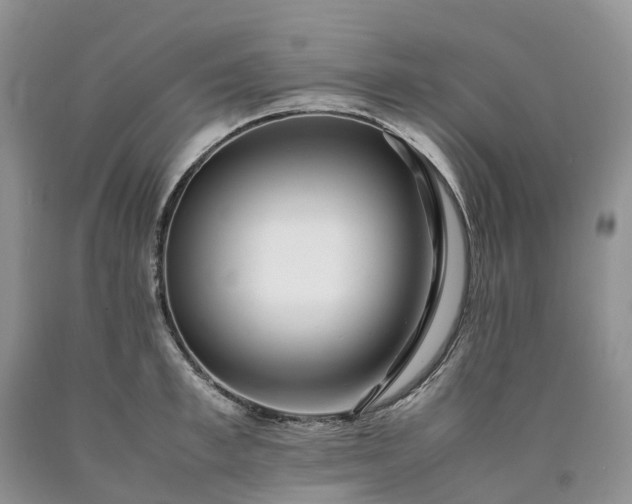 X0000090470997200707201351