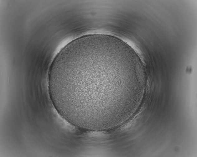 X0000090470998200707201351