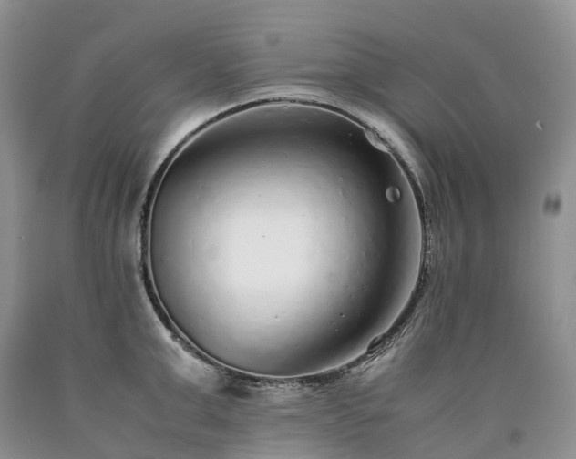 X0000090470999200707201351