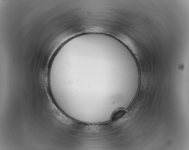 X0000090471000200707201351