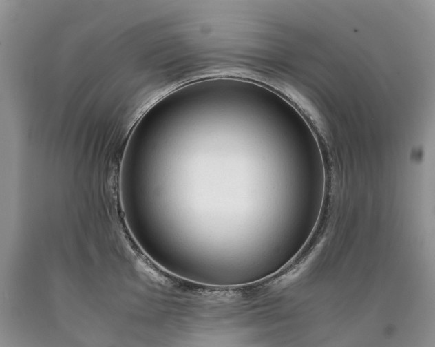 X0000090471001200707201351