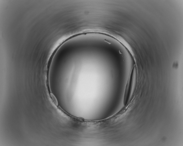 X0000090471005200707201351