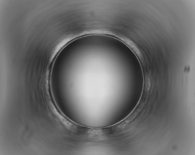 X0000090471006200707201351