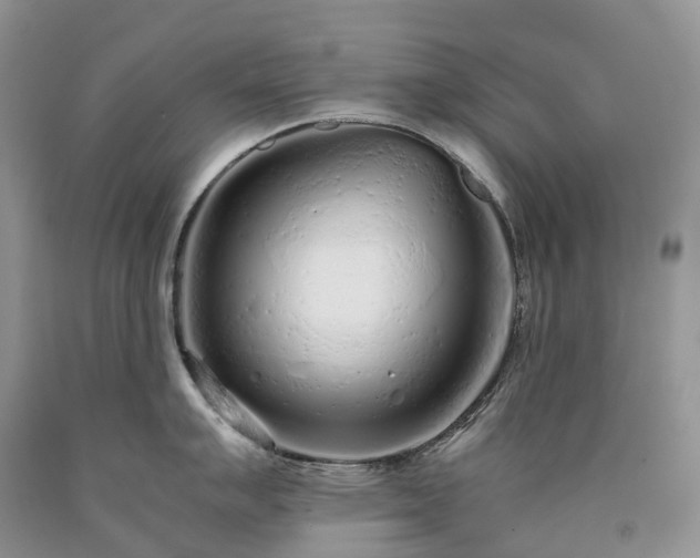 X0000090471007200707201350