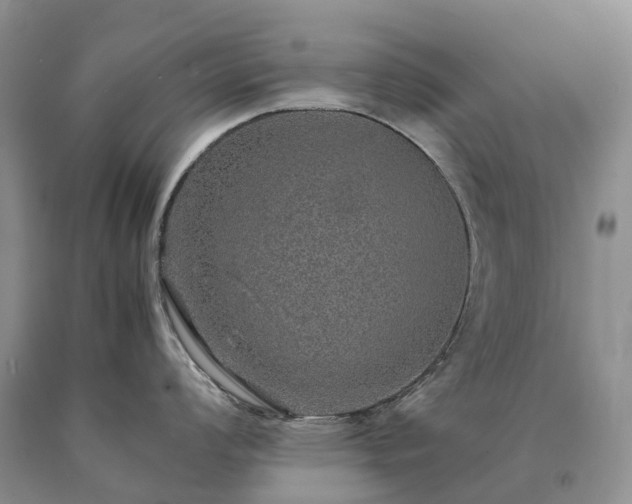 X0000090471008200707201350