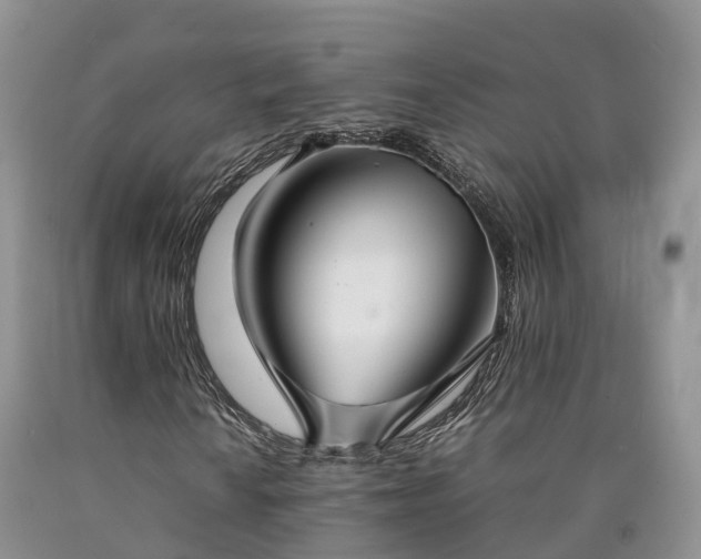 X0000090471010200707201350