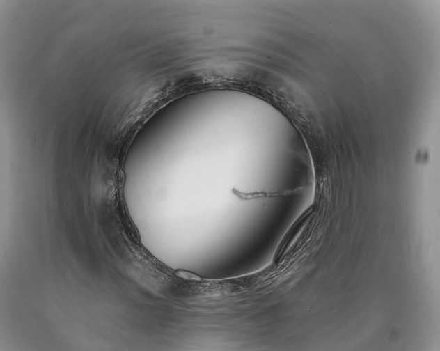 X0000090471012200707201350