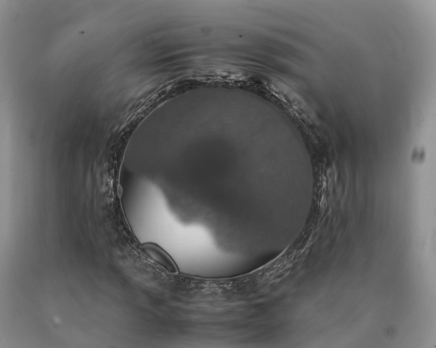 X0000090471013200707201350