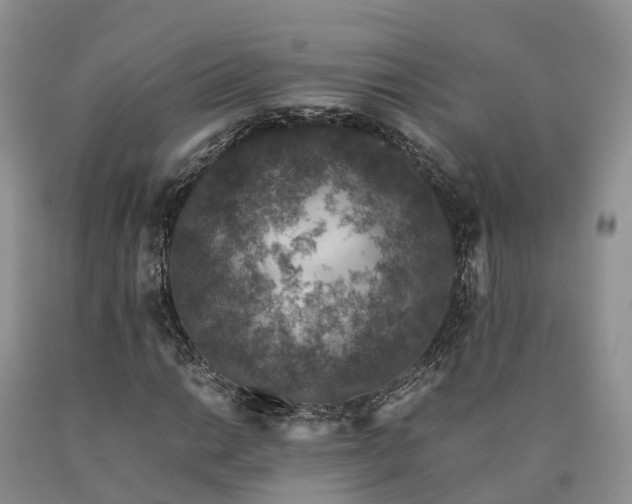 X0000090471014200707201350