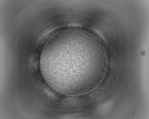 X0000090471015200707201350