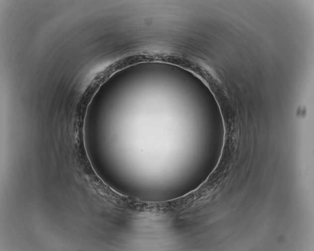 X0000090471016200707201350