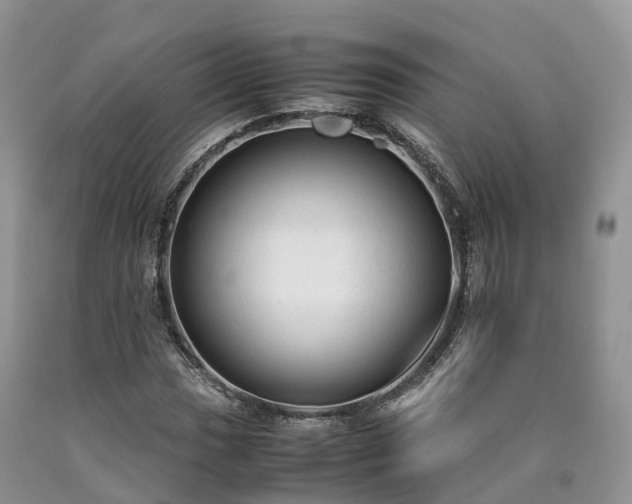 X0000090471017200707201350