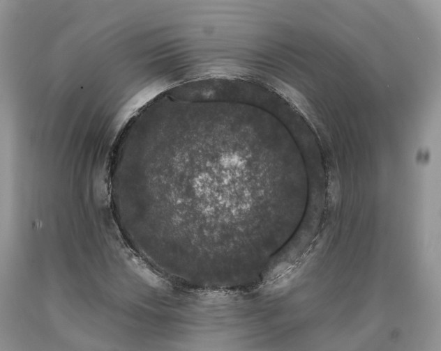 X0000090471018200707201350