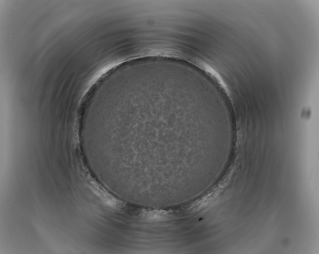 X0000090471019200707201350